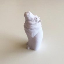 cat hippo game 3d print model - Mito3D