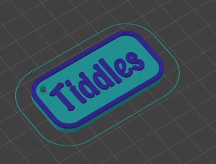 cat key fob - riddles tiddles funny 3d print model - Mito3D