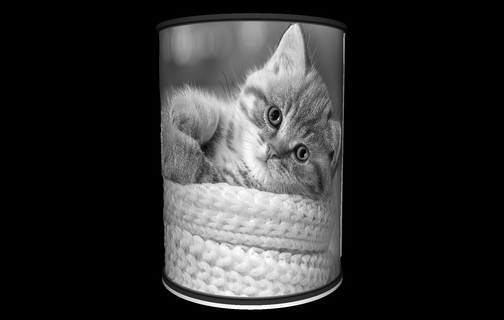 gatto lampada litofania illuminazione guidato luce film animali animale gatti kats 3d print model - Mito3D