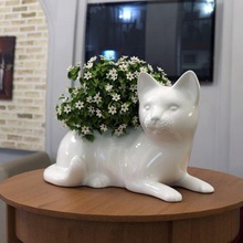cat planter pot 3d print model - Mito3D