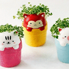 cat pots 3d print model - Mito3D