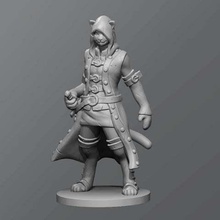 cat rogue game toy tabletop dungeons dragons d&d 3d print model - Mito3D
