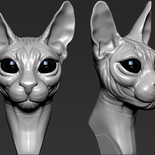 chat sphynx art les dessins jouet du poisson de l'impression 3d la sculpture animal 3d print model - Mito3D