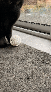 Katze Spielzeug Tiere Ball Spiele Glocke Tier Klang 3d print model - Mito3D