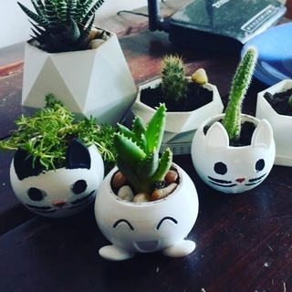 Katze Vase verschiedene Topf Kätzchen Pflanzen Dekoration 3d print model - Mito3D