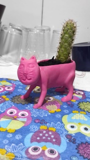 gatto vaso piante grasse impianti casa decorazione 3d print model - Mito3D