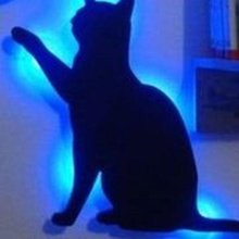 gatto parete lampada 3d print model - Mito3D
