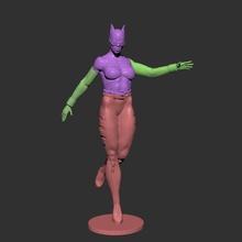 cat woman verschiedene batman juggernaut spiderman dc marvel venomcomics 3d print model - Mito3D