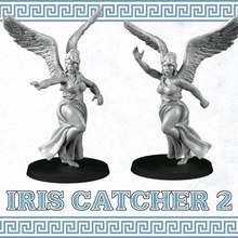 catcher iris 2 3d print model - Mito3D