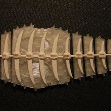 Fänge Kunst eingängiger chang-rae lee diver Fisch fishbone fischig Fisch-Knochen Haken onsuchafullsea Modelle 3d print model - Mito3D