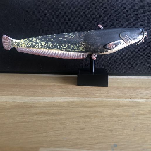 kedi balığı isteğe bağlı kaide Sanat Balık tutma balık heykel dış mekan dekor kupa stl 3D print model - Mito3D