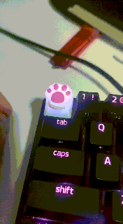 catpawn tecla jogos gatinha keycaps teclado base 3d print model - Mito3D