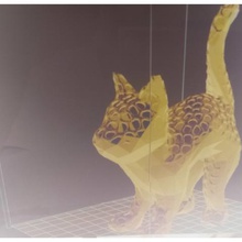 kedi polivoro çeşitli modern 3d print model - Mito3D