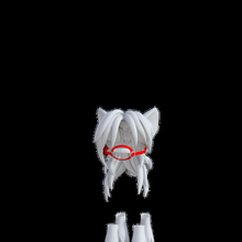 gatti cani armatura accessorio gadget animali domestici 3d print model - Mito3D