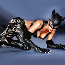 catwoman cuscino litofania arte Batman sexy burlone fan art 3d print model - Mito3D