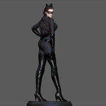 catwoman selina kyle batman dark night rises dc sexy girl woman character bane knight movie villain 3d print model - Mito3D