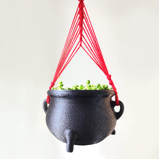 cauldron-shaped plant pot - without drain holes hanging saucer drainage planter succulent cottagecore witchy halloween goth home decor fantasy decoration 3d print model - Mito3D