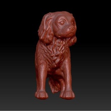 cavalier king charles verschiedene statue Figur ornament Hund 3d print model - Mito3D