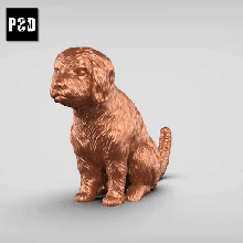 cavoodle v2 arte cão animal brinquedo estatuetas 3d print model - Mito3D