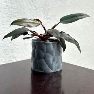 cellular growth planter - vase mode plantersxcults flowerpot gardening plants 3d print model - Mito3D