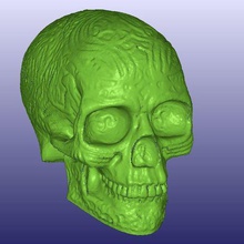 keltischer Schädel 3d-scan hohl Kunst celtic digitizer Licht makerbotdigitizer scan durchsucht Replikate 3d print model - Mito3D