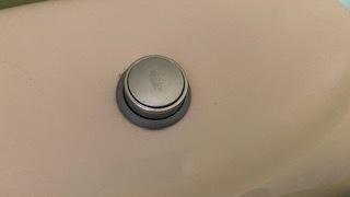 centrar botón baño enjuagar agua rubor wc corsario 3d print model - Mito3D