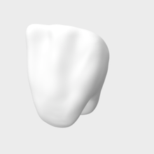 central incisor 3d print model - Mito3D
