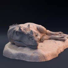 ceratosaurus dormire 3d print model - Mito3D