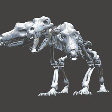 cerberus various balljoint bjd bone cool dog halloween horror movable mystic skeletal skeleton undead biology 3d print model - Mito3D