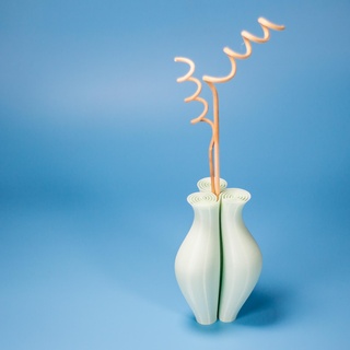 cercilia vaso pentola succulenta design Italia celtico 3d print model - Mito3D