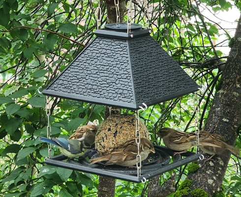 chalet abonnieren zuhause haus vogel vogelfütterer vogelhaus feeder krippe oiseaux oiseau haustiere tiere 3d print model - Mito3D