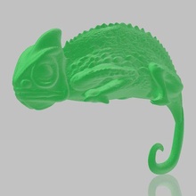 chameleon 3d print model - Mito3D
