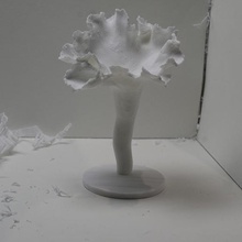 1 halde önce mantar çeşitli diorama chantarellus bilim yineleme doğa yenilebilir 3d print model - Mito3D