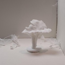 finferli funghi 2 vari diorama chantarellus scienza replica natura il fungo commestibili cantarelli 3d print model - Mito3D