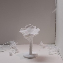 chanterelle champignons 5 divers diorama chantarellus la science réplique nature les comestibles girolles 3d print model - Mito3D