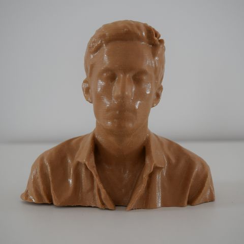 carácter busto wolfatmospheric art la digitalización mak3me mak3 mí me 3D print model - Mito3D