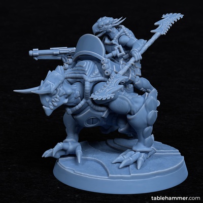 chargers heavy toorts cavalry game cannibal chicken 41k xenos grimdark tabletop 28mm wargaming proxy 3d print model - Mito3D