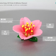 fleurs de cerisier sakura divers 3d print model - Mito3D