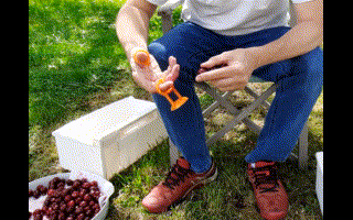cherry pitter pitter-patter fruit pitting core tool denoyauteur 3d print model - Mito3D