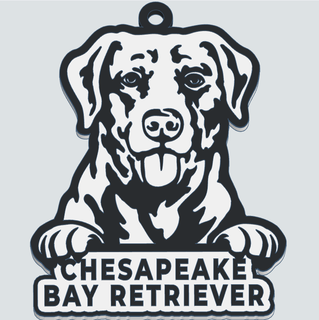 chesapeake bay retriever keychain stl dog race 3d printing detailed design exceptional quality love animals hunting partner canine intelligence loyalty lovers tenacity retrievers fans passion faithful partners 3d print model - Mito3D