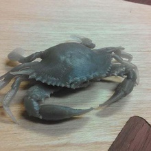 chesapeake blue crab art scansioni repliche museo ad alta risoluzione tc animale preciso 3d print model - Mito3D