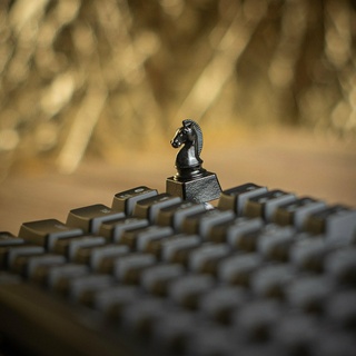 satranç at şövalye esnaf klavye tuşu mekanik oyun klavyeler mx Kiraz Kailh Gateron razer anahtarlar anahtar tuş takımı Outemu reçine yazı tahtası oyunlar fdm 1u yenilik 3d print model - Mito3D