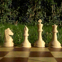 chess pieces figures 3d print model - Mito3D