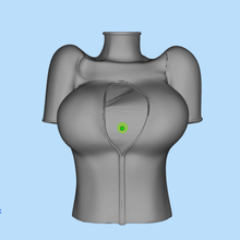 Brust Form Kunst Schimmel 3d print model - Mito3D