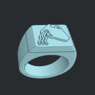 chevaliere le Kova mücevher yüzük sembol zodyak star işaret astroloji 3d print model - Mito3D