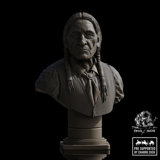 cheyenne pre supported indio busto 3d print model - Mito3D