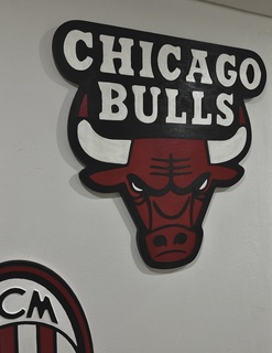 chicago bulls basketball emblem 3d print model - Mito3D
