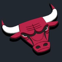 chicago bulls logo game 3d print model - Mito3D