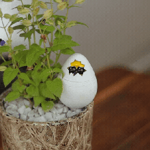 chick egg baby 3d print model - Mito3D