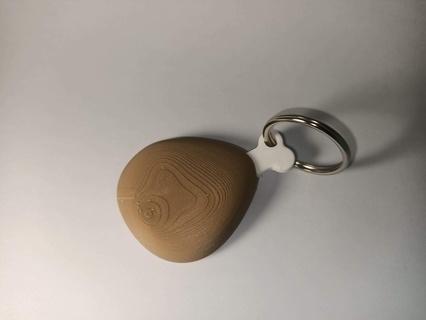 frango baqueta artag chaveiro maçã 3d impressão rastreamento Comida personalização 3d print model - Mito3D